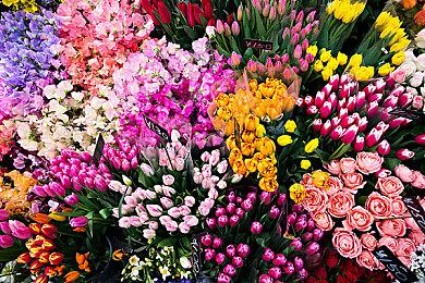 PS4模拟器Spine超长演示 展示125款游戏运行效果